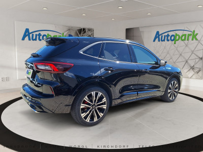 Ford Kuga Vorführwagen