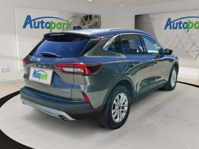 Ford Kuga Gebrauchtwagen