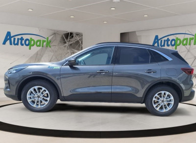 Ford Kuga Neuwagen