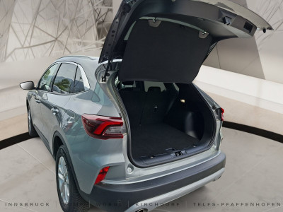 Ford Kuga Gebrauchtwagen Ford Kuga Gebrauchtwagen