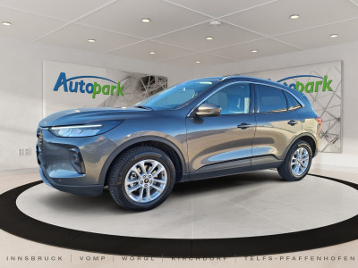 Ford Kuga Gebrauchtwagen Ford Kuga Gebrauchtwagen