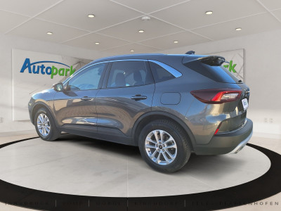 Ford Kuga Gebrauchtwagen Ford Kuga Gebrauchtwagen