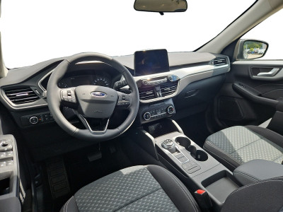 Ford Kuga Gebrauchtwagen Ford Kuga Gebrauchtwagen