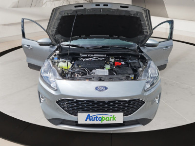 Ford Kuga Gebrauchtwagen Ford Kuga Gebrauchtwagen