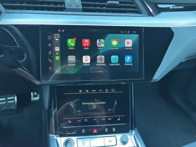 Audi Q8 e-tron Gebrauchtwagen