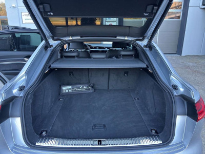 Audi Q8 e-tron Gebrauchtwagen