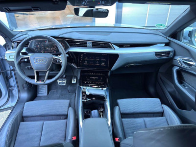 Audi Q8 e-tron Gebrauchtwagen