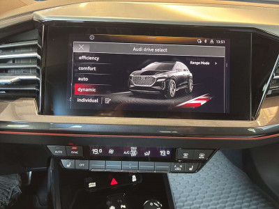 Audi Q4 e-tron Gebrauchtwagen