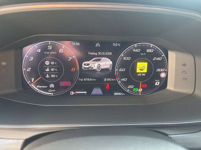 Cupra Formentor Gebrauchtwagen Cupra Formentor Gebrauchtwagen
