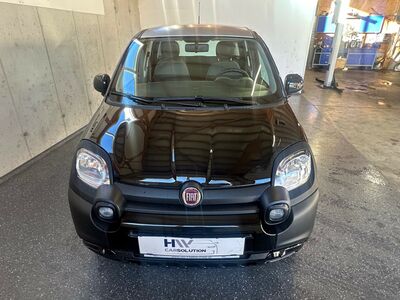 Fiat Panda Gebrauchtwagen