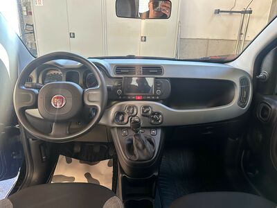 Fiat Panda Gebrauchtwagen