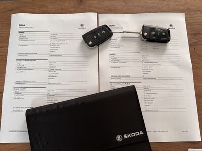 Skoda Scala Gebrauchtwagen