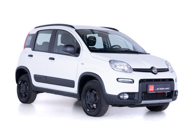 Fiat Panda Gebrauchtwagen