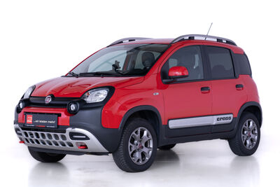 Fiat Panda Gebrauchtwagen