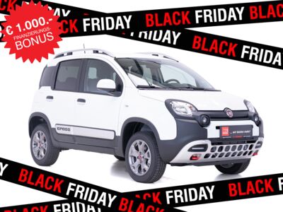 Fiat Panda Gebrauchtwagen