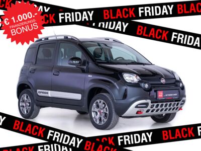 Fiat Panda Gebrauchtwagen