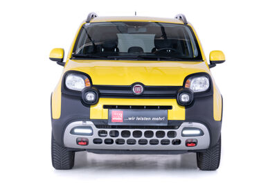 Fiat Panda Gebrauchtwagen