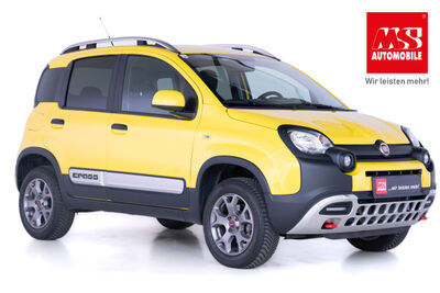 Fiat Panda Gebrauchtwagen