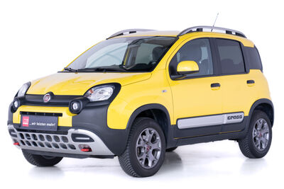 Fiat Panda Gebrauchtwagen