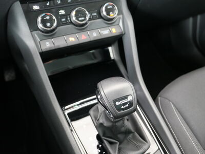 Skoda Karoq Gebrauchtwagen