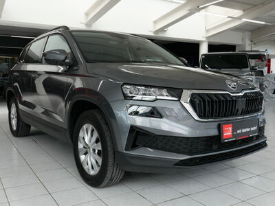 Skoda Karoq Gebrauchtwagen