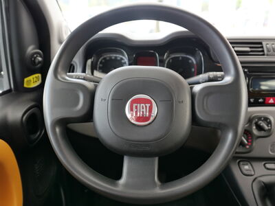 Fiat Panda Gebrauchtwagen