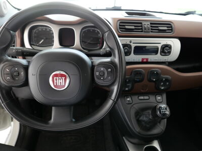 Fiat Panda Gebrauchtwagen Fiat Panda Gebrauchtwagen