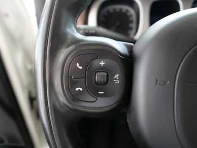 Fiat Panda Gebrauchtwagen Fiat Panda Gebrauchtwagen