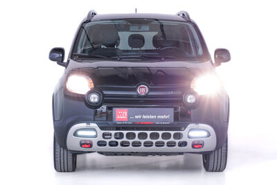 Fiat Panda Gebrauchtwagen
