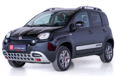 Fiat Panda Gebrauchtwagen