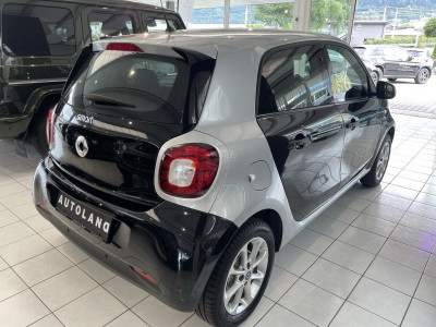 Smart forfour Vorführwagen