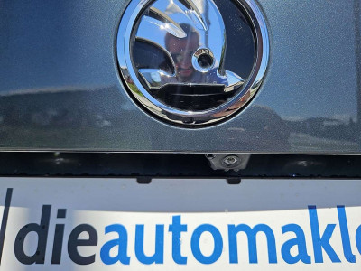 Skoda Kodiaq Gebrauchtwagen Skoda Kodiaq Gebrauchtwagen