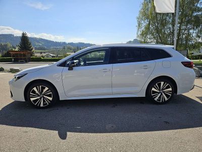 Toyota Corolla Gebrauchtwagen