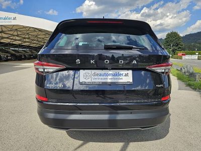 Skoda Kodiaq Gebrauchtwagen Skoda Kodiaq Gebrauchtwagen