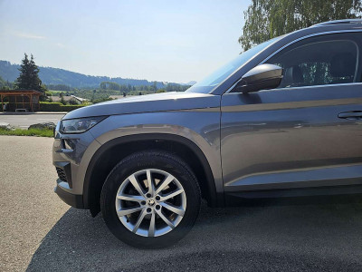 Skoda Kodiaq Gebrauchtwagen Skoda Kodiaq Gebrauchtwagen