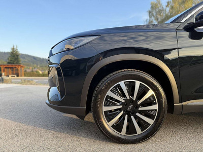 Chery Automobile Tiggo 8 Tageszulassung