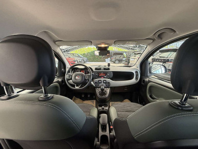 Fiat Panda Gebrauchtwagen Fiat Panda Gebrauchtwagen