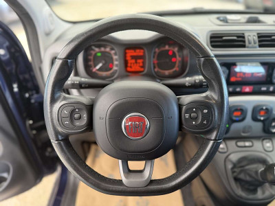 Fiat Panda Gebrauchtwagen Fiat Panda Gebrauchtwagen