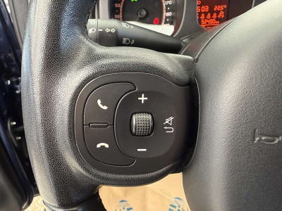 Fiat Panda Gebrauchtwagen Fiat Panda Gebrauchtwagen