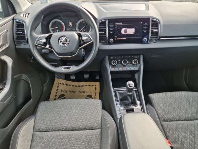 Skoda Karoq Gebrauchtwagen