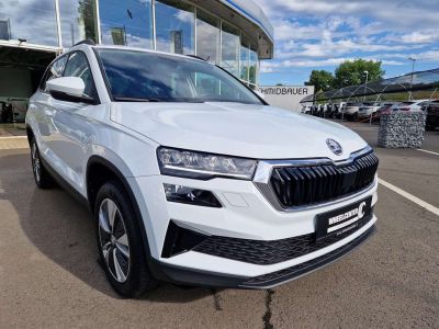 Skoda Karoq Gebrauchtwagen