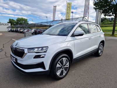 Skoda Karoq Gebrauchtwagen