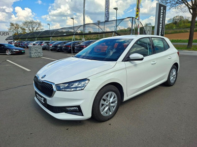 Skoda Fabia Gebrauchtwagen