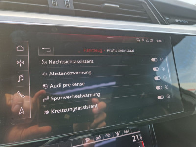 Audi Q8 e-tron Gebrauchtwagen