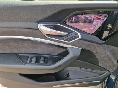 Audi Q8 e-tron Gebrauchtwagen