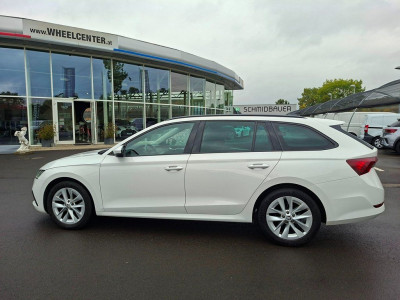 Skoda Octavia Gebrauchtwagen Skoda Octavia Gebrauchtwagen
