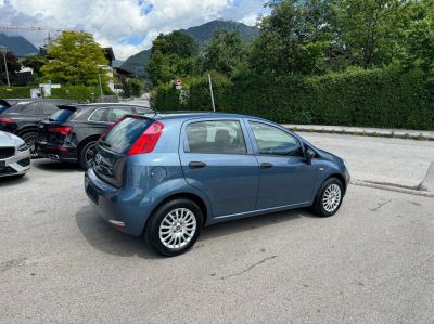 Fiat Punto Gebrauchtwagen