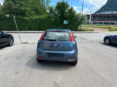 Fiat Punto Gebrauchtwagen