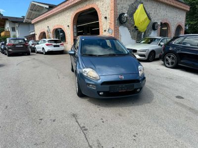 Fiat Punto Gebrauchtwagen