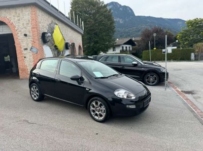 Fiat Punto Gebrauchtwagen